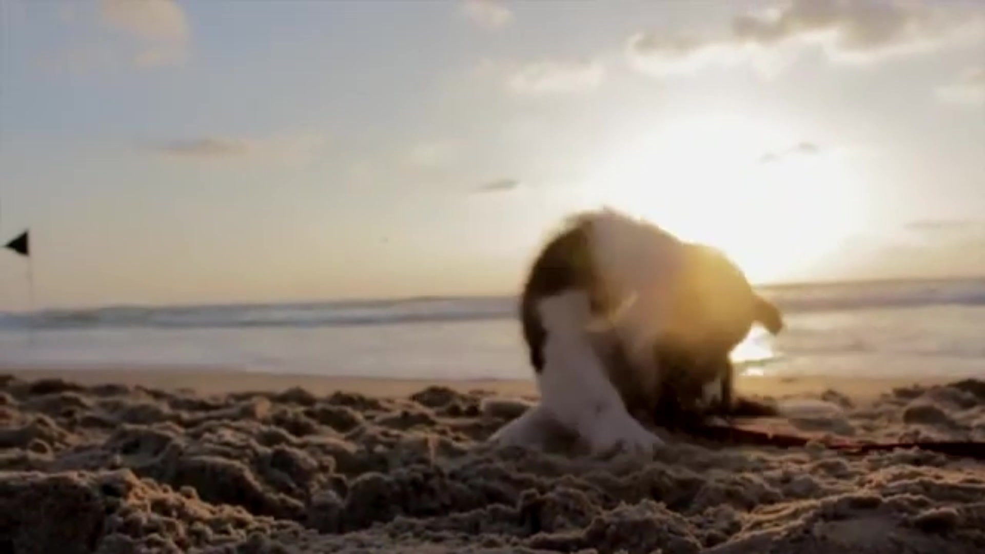 Frame 49